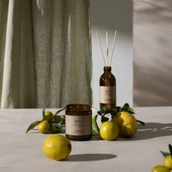 FUNCTIONALS Ipuro Citronella Raumduft -Ipuro Verkaufsgeschäft IFU1000 4 Raumduft