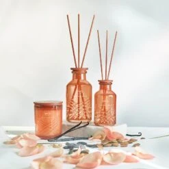 EXCLUSIVE Ipuro Fève Tonka Duftkerze -Ipuro Verkaufsgeschäft feve tonka Kollektion