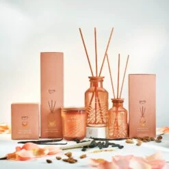 EXCLUSIVE Ipuro Fève Tonka Duftkerze -Ipuro Verkaufsgeschäft feve tonka Kollektion Verpackung