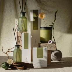 CLASSIC Ipuro Bergamote Raumduft -Ipuro Verkaufsgeschäft ipuro bergamotte Kollektion Verpackung d7e23619 b8e3 44b5 8619 e3d97c7263bb