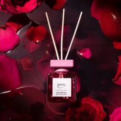 ESSENTIALS Ipuro Intense Rose & Dark Rose Raumduft-Set -Ipuro Verkaufsgeschäft ipuro essentials dark rose 100ml 1279x1600 1 1