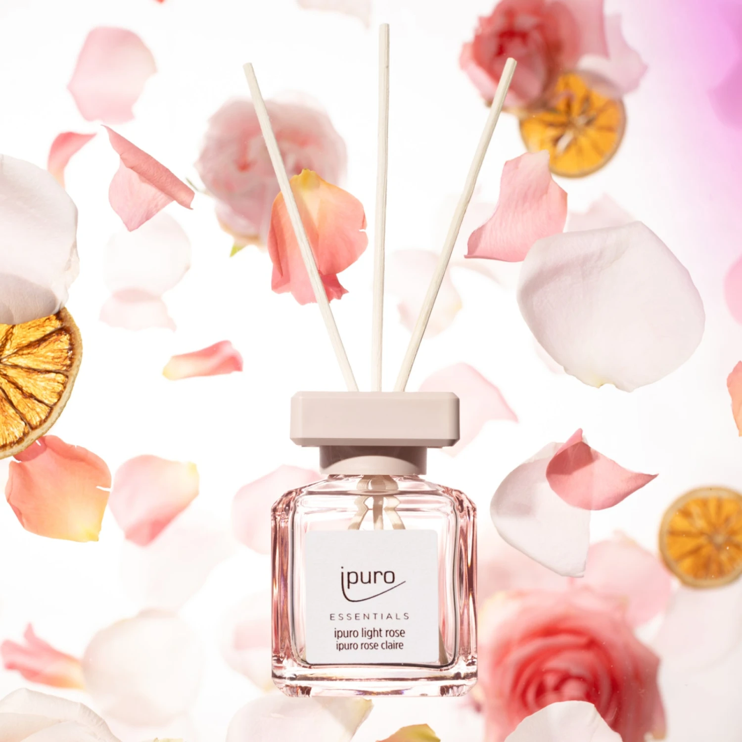 ESSENTIALS Ipuro Light Rose 3 ESSENTIALS Ipuro Light Rose – Bild 3