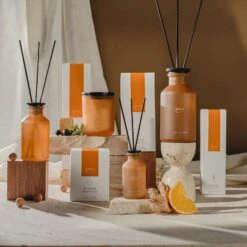 CLASSIC Ipuro Vitalité Duftkerze -Ipuro Verkaufsgeschäft ipuro vitalite Kollektion Verpackung