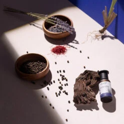 Ipuro Verkaufsgeschäft -Ipuro Verkaufsgeschäft ipuro AIRSONIC Duftoele holy harmony