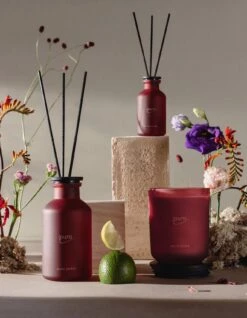 CLASSIC Ipuro Jardin Duftkerze -Ipuro Verkaufsgeschäft jardin ShoptheLook 1320x1700 11 1